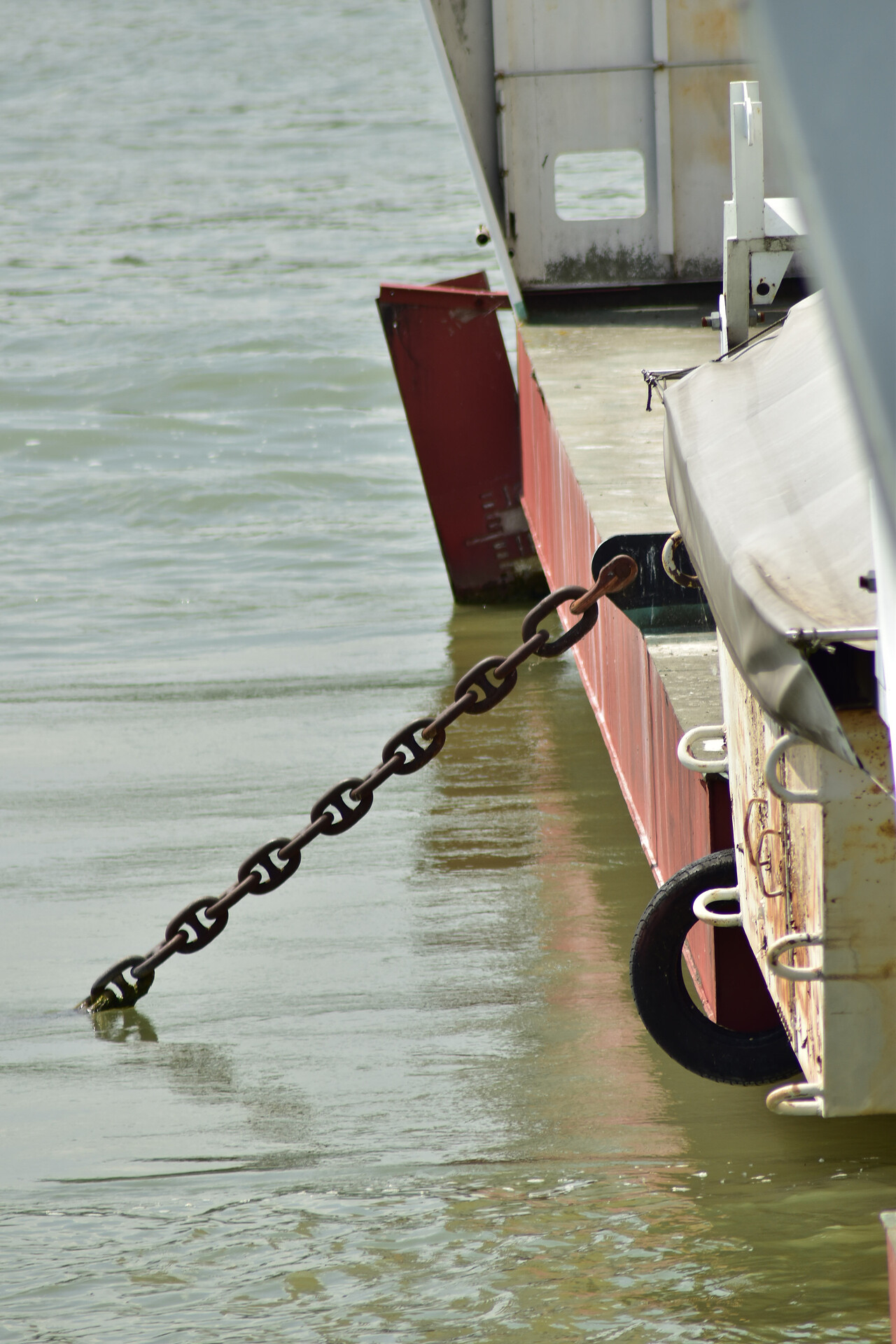 Wiener Donauinsel im Mai