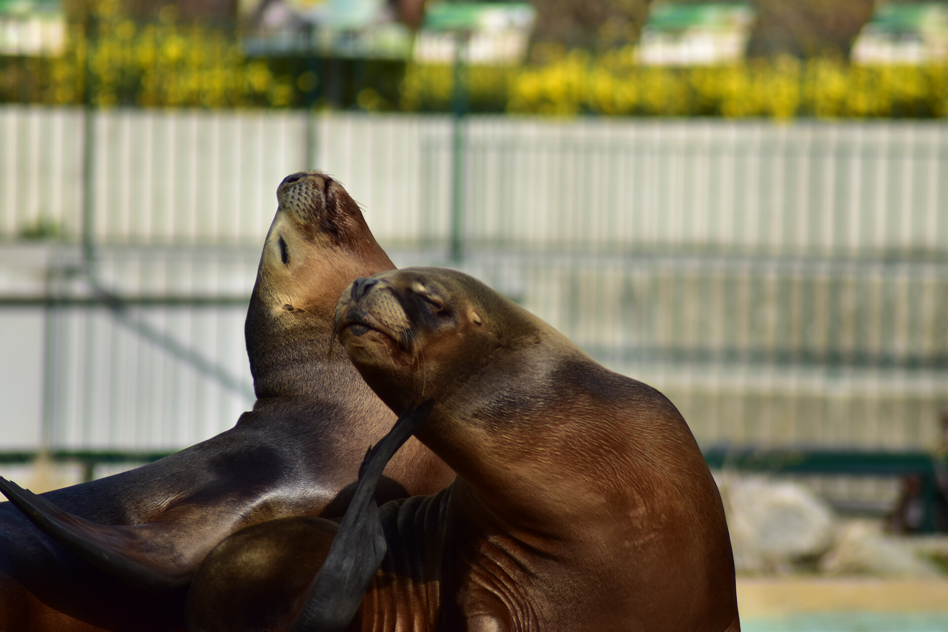 Zoo Schönbrunn - der älteste Zoo der Welt