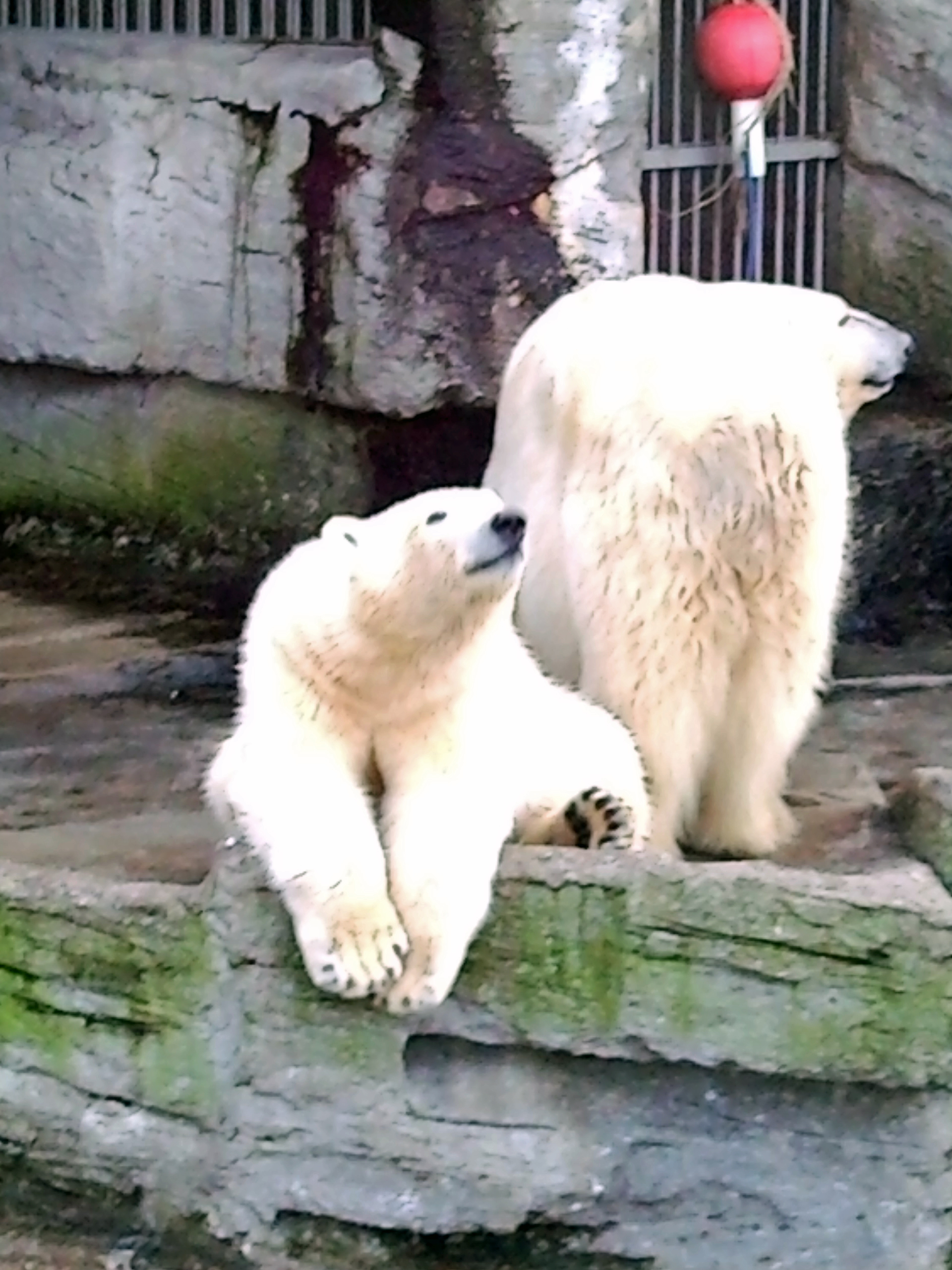 Zoo Schönbrunn - der älteste Zoo der Welt