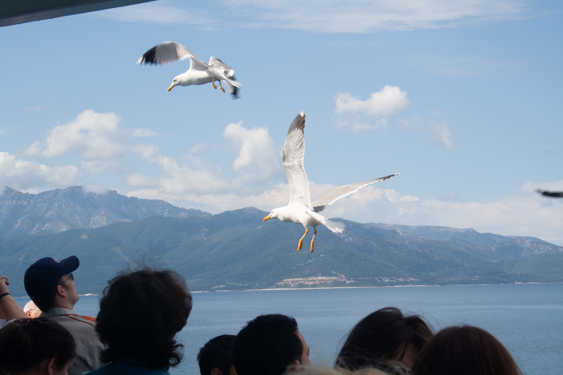 Die griechische Insel Thassos