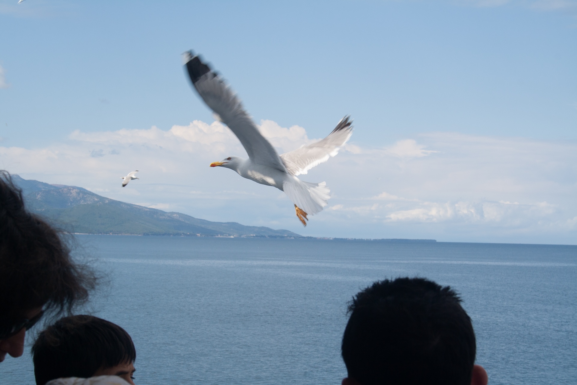 Die griechische Insel Thassos